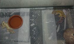 IMAG0177.jpg