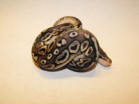clutches 12 4_5 PS 003.jpg