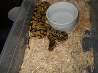 DSCN3048.jpg