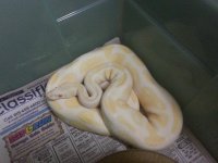 20120920_180028.jpg