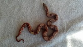 2012-11-04_13-23-21_787.jpg