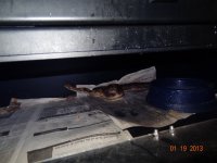 DSC00962.jpg