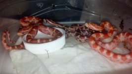 2012-10-21_06-40-06_39.jpg