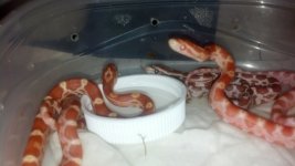 2012-10-21_06-39-57_303.jpg