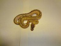 DSC00192.jpg