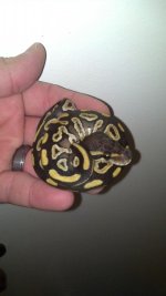 2012-11-02_10-27-17_65.jpg