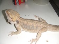 DSCF3389.jpg