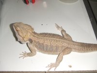 DSCF3390.jpg