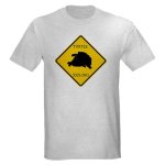 turtleshirt.jpg