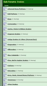 fc_snakes01.jpg