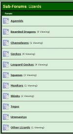fc_lizards01.jpg