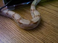 100_2557.jpg