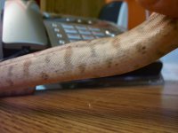 100_2564.jpg