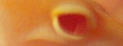 SatanRighteye[1]-cROPPED.jpg