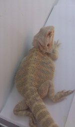 IMAG0012.jpg