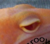 24[1]-CROPPED.jpg