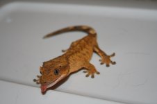 IMG_3754.jpg
