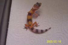 000_0142.JPG