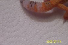 000_0148.JPG