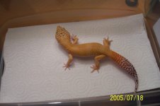 000_0165.JPG