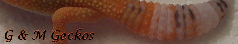 000_0146.JPG
