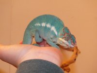 DSCF4139.jpg
