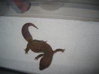 IMG_2562.jpg