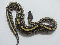 20121125_200216.jpg