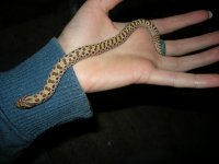 fb pics 004.jpg