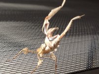IMG_0456.jpg