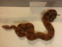 20121015_231312.jpg