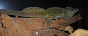 DSC_0023.jpg
