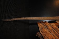 DSCd_0020.jpg