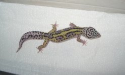 IMG_2572.JPG