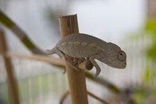 DSC_1379.jpg
