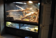 DSC_0020.jpg