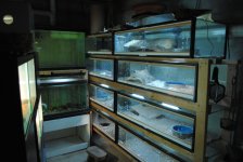 DSC_0021.jpg