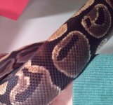 2013-02-28 19.19.48.jpg