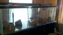 2012-10-24_11-50-11_690.jpg