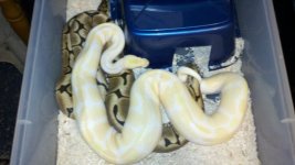 2011-12-09_08-31-04_604.jpg