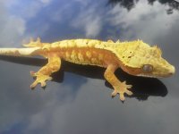 20121202_135734.jpg