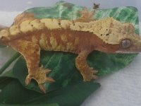 20121202_140636.jpg