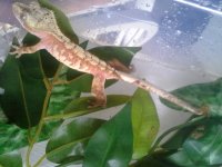 20121202_143056.jpg