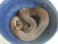 20121029_164233.jpg