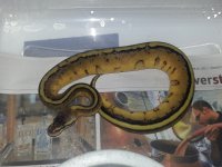 20121025_170204.jpg