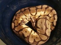20121029_162250.jpg