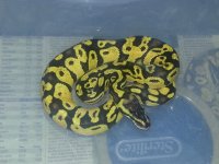 20121025_210227.jpg