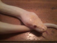 IMG_20130311_181208.jpg