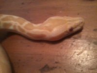 IMG_20130311_181302.jpg