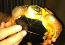 photo-9.jpg